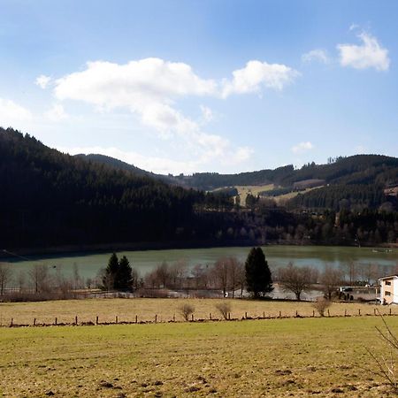 Apartament Fewo Hoher Eimberg Niedersfeld Winterberg Zewnętrze zdjęcie
